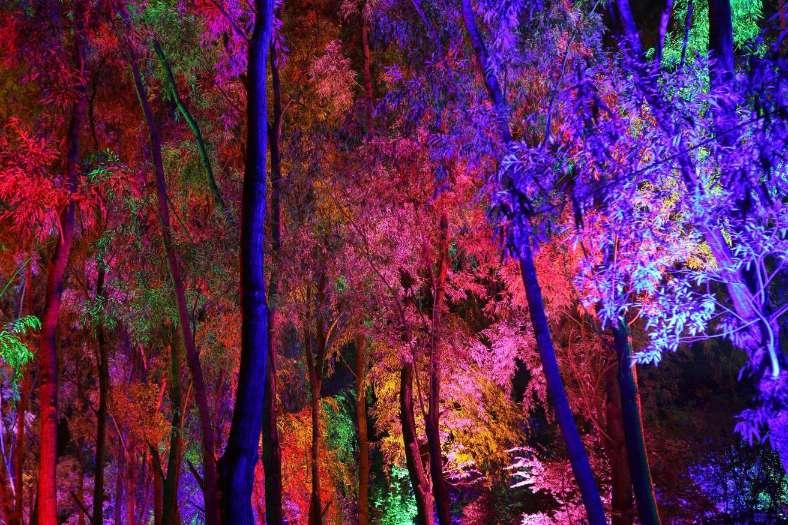 民族资产解冻类诈骗高发 山西警方:务必防范